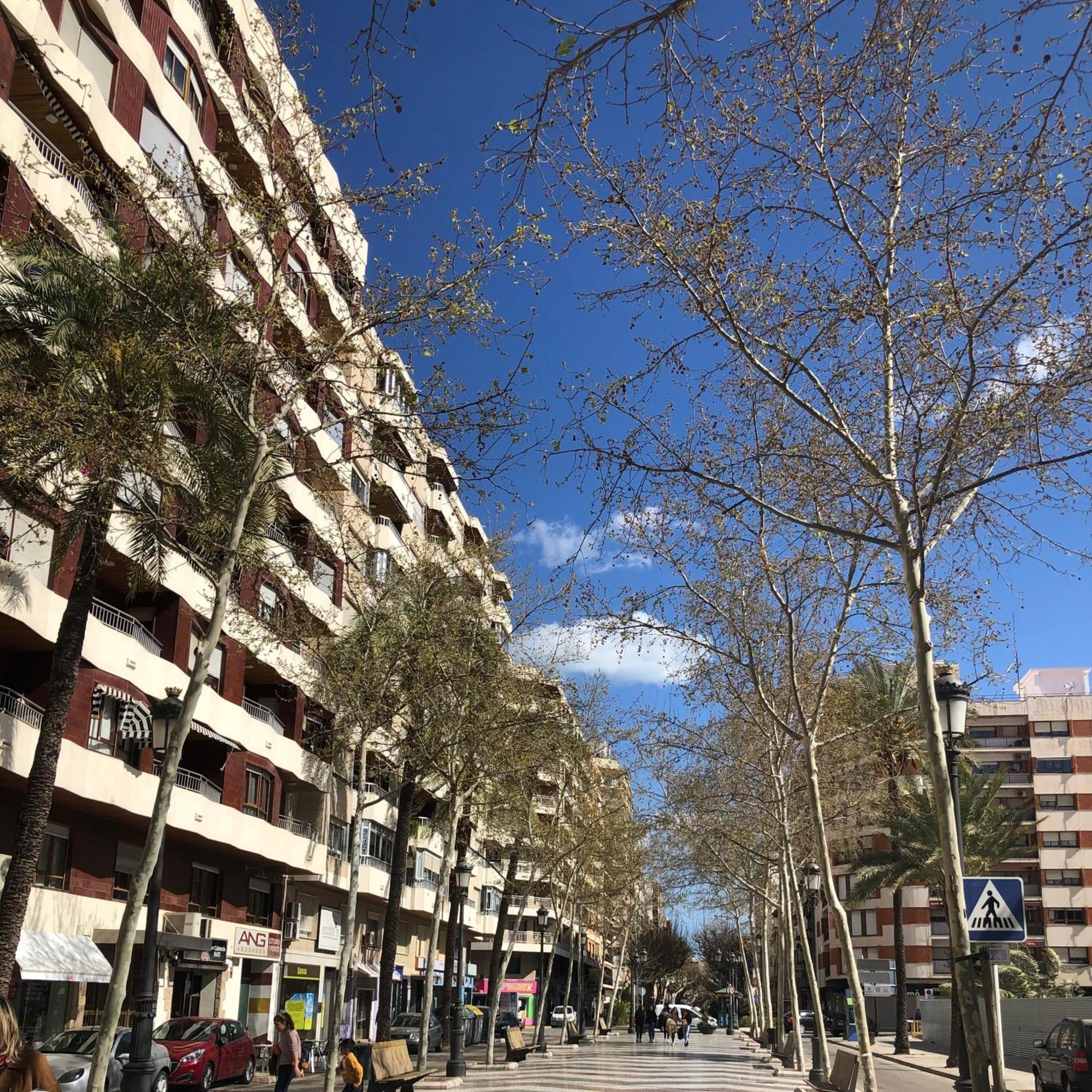 Habitaciones En Gandia A 5 Min Del Centro Historico Dış mekan fotoğraf